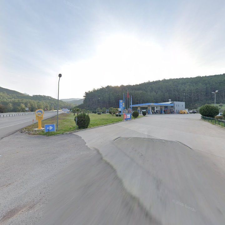 Fotoğraf 7