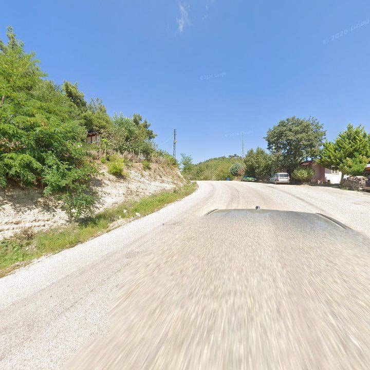 Fotoğraf 8