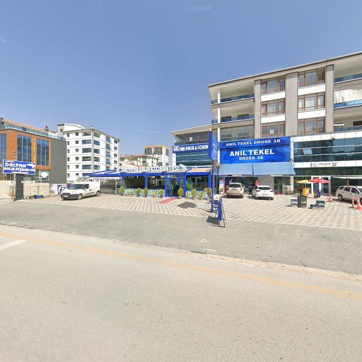 Fotoğraf 8