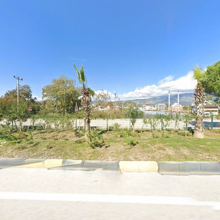 Fotoğraf 9