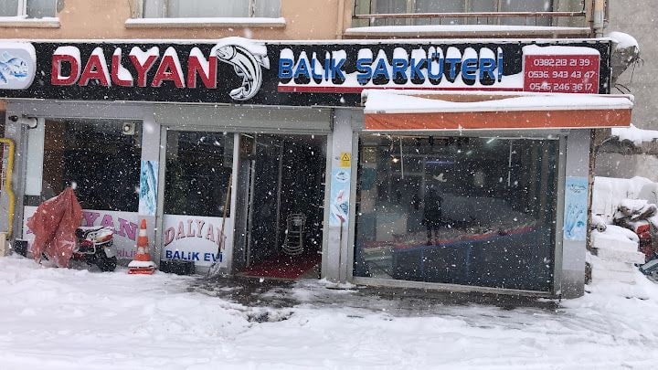Dalyan Balıkçılık Aksaray