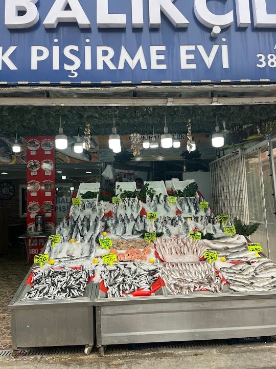 Dalyan Balıkçılık Aktepe