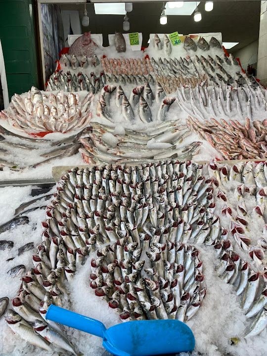 Dalyan Balıkçılık Dayanık Su Ürünleri