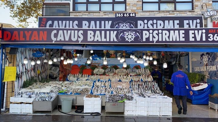 Dalyan Çavuş Balık
