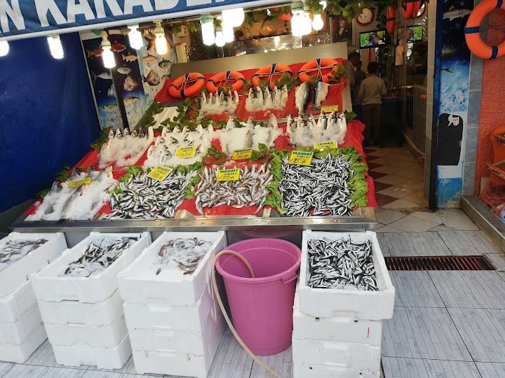 Dalyan Karadeniz Balıkçısı
