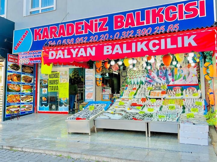 Dalyan Karadeniz Balıkçısı