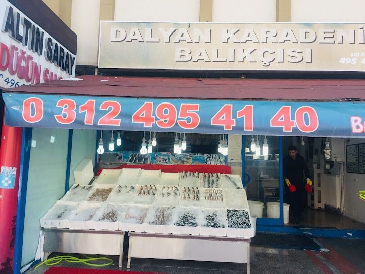 Dalyan Karadeniz Balıkçısı