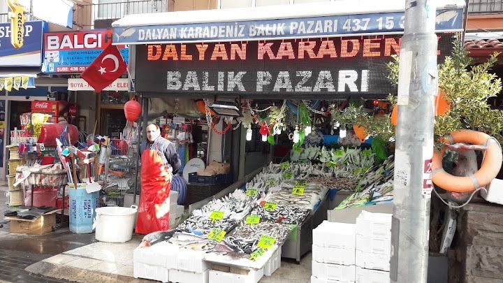 Dalyan Karadeniz Balıkçısı