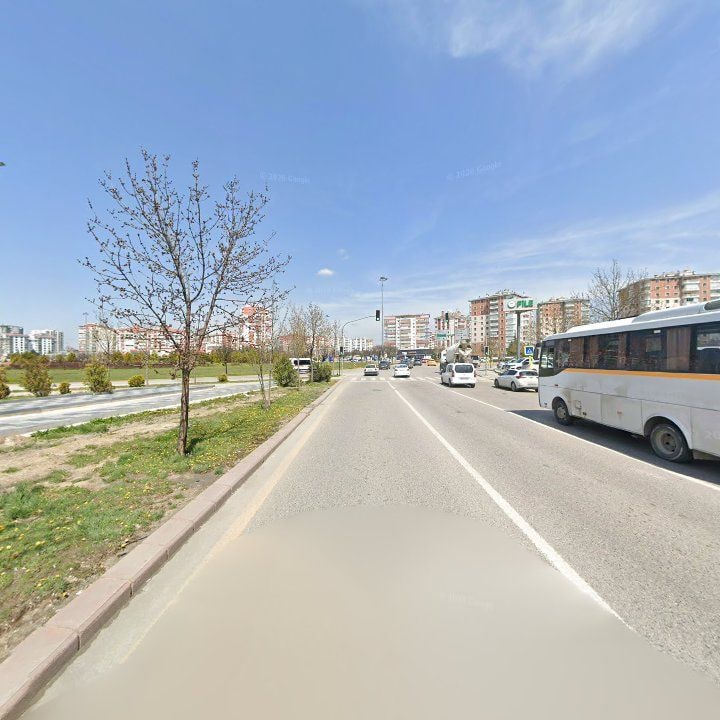 Fotoğraf 11