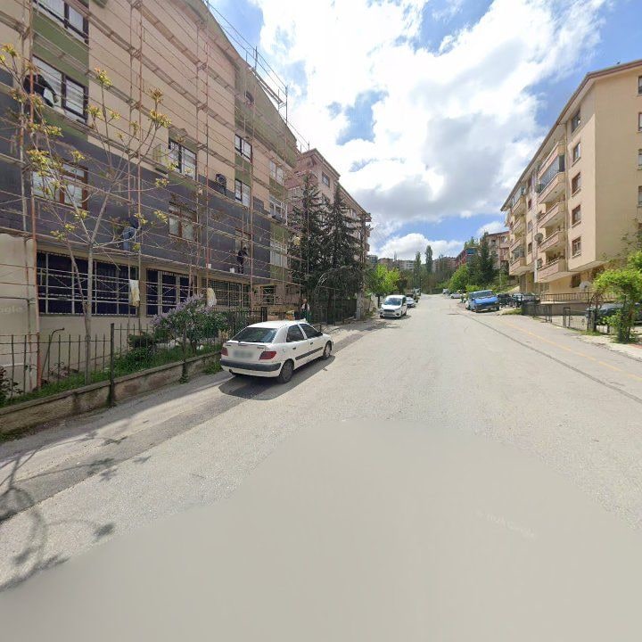 Fotoğraf 9