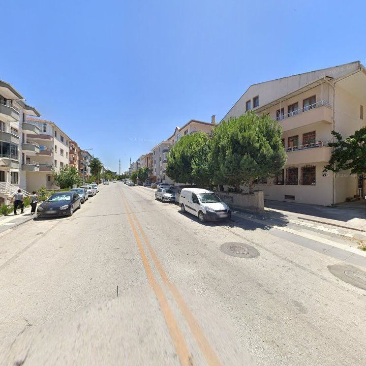 Fotoğraf 8