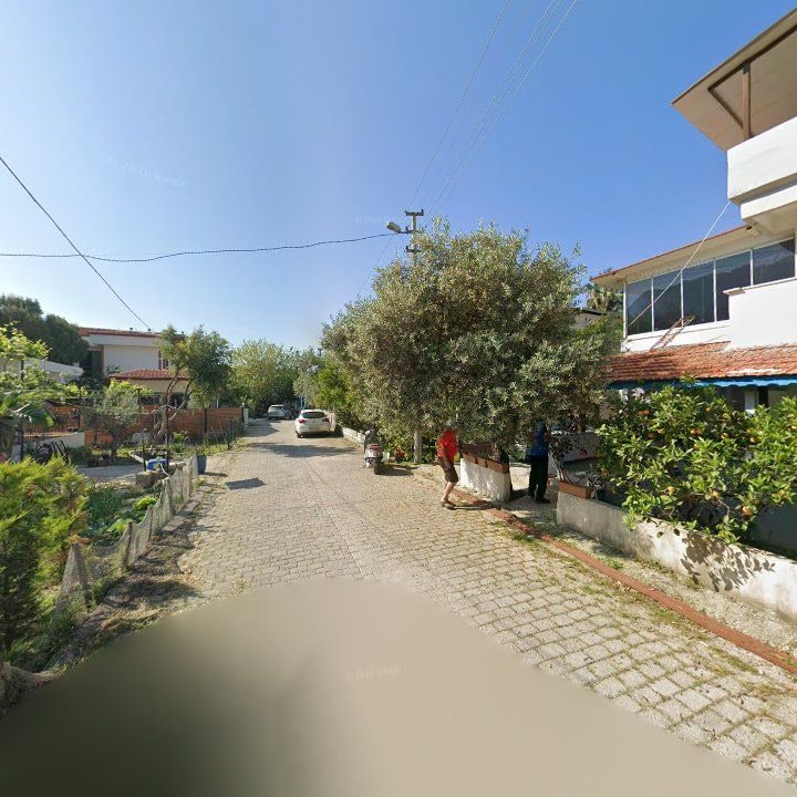 Fotoğraf 11