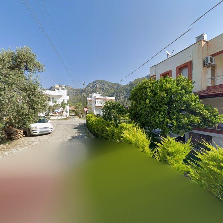 Fotoğraf 9
