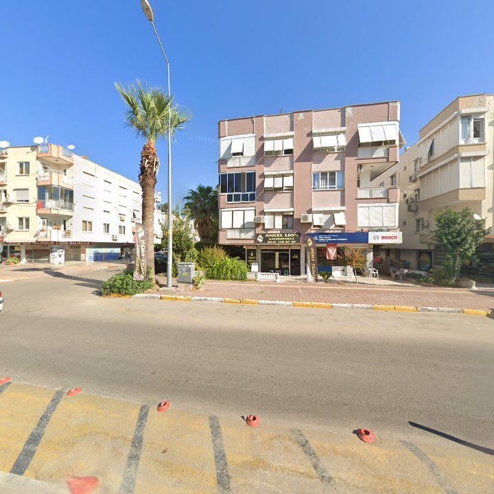 Fotoğraf 9