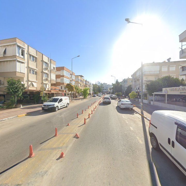 Fotoğraf 10