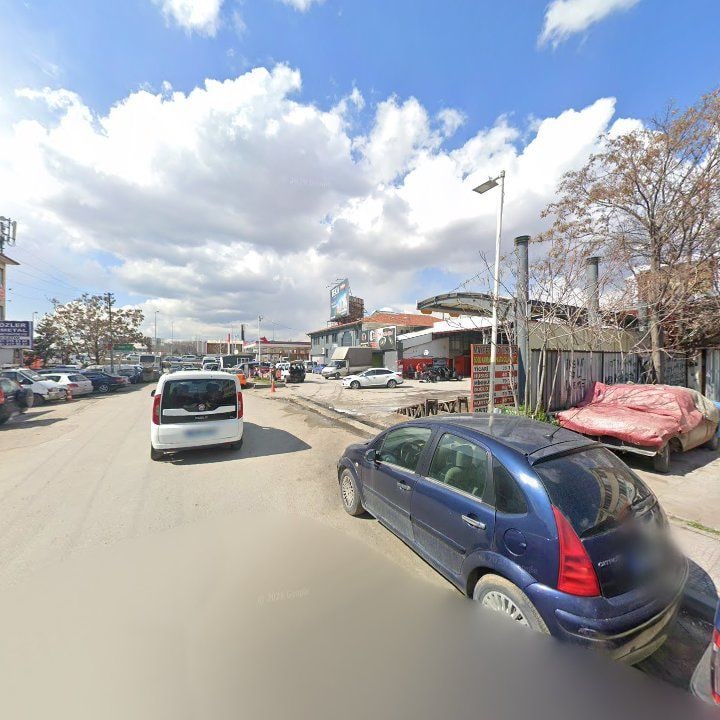 Fotoğraf 8