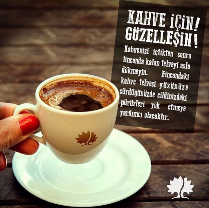 Fotoğraf 14