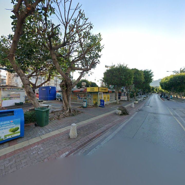 Fotoğraf 17