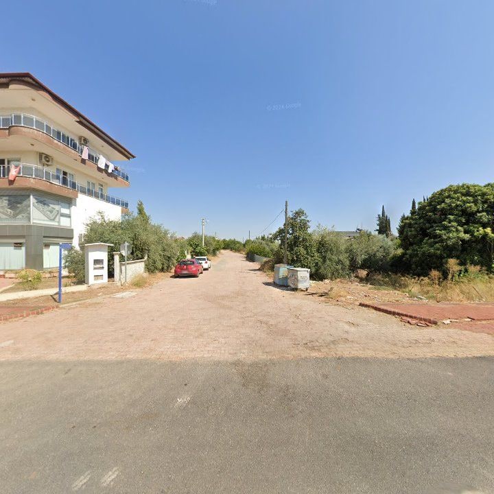Fotoğraf 6