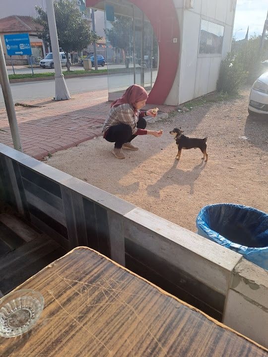 Fotoğraf 2