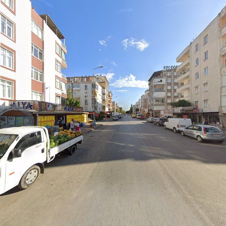 Fotoğraf 12