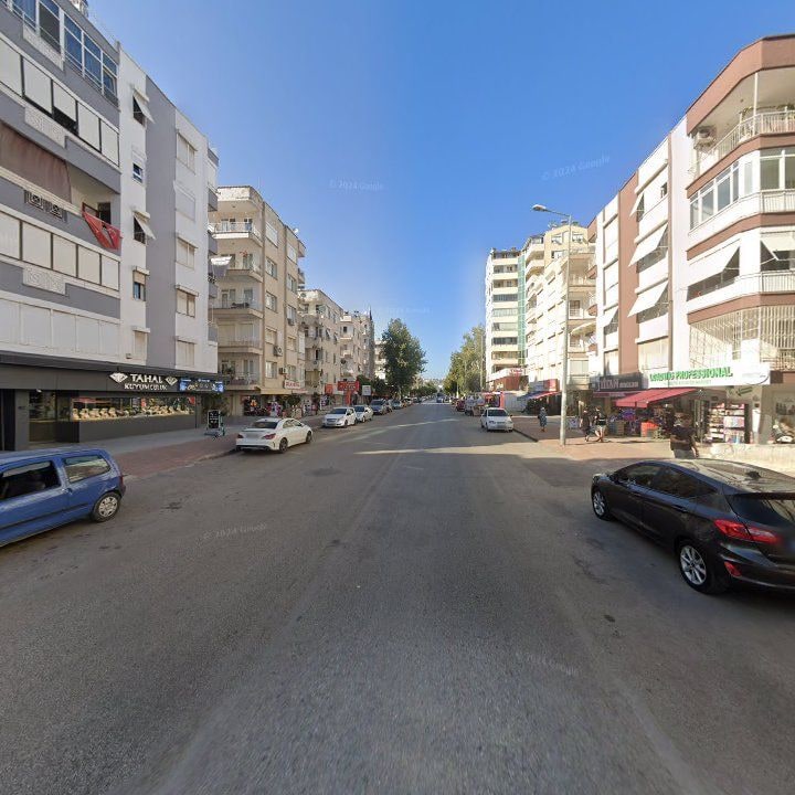 Fotoğraf 10