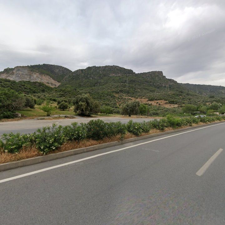 Fotoğraf 11