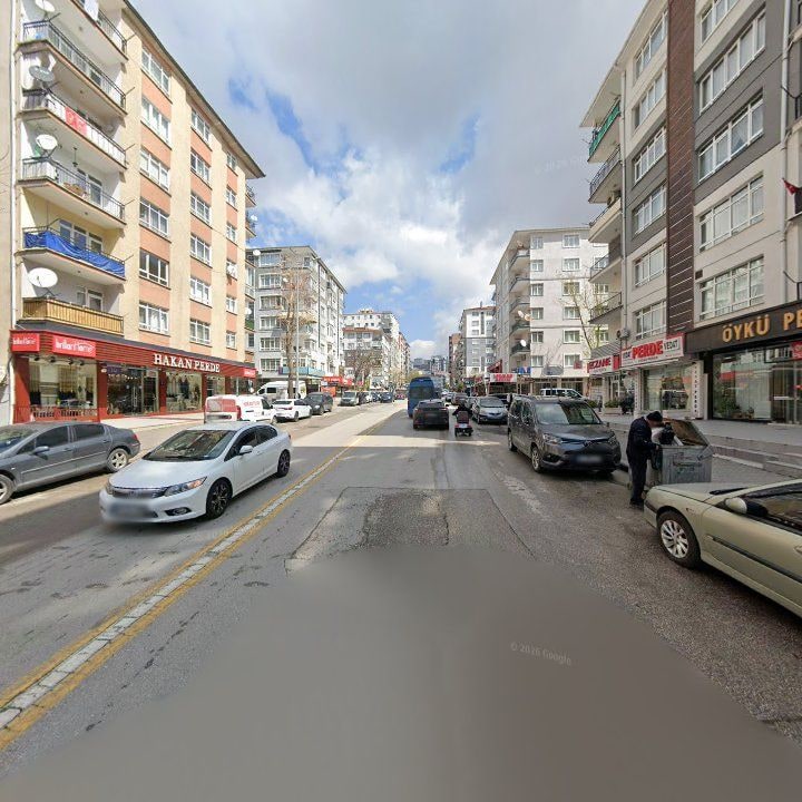 Fotoğraf 8