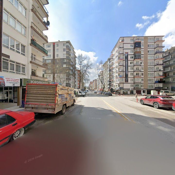 Fotoğraf 10