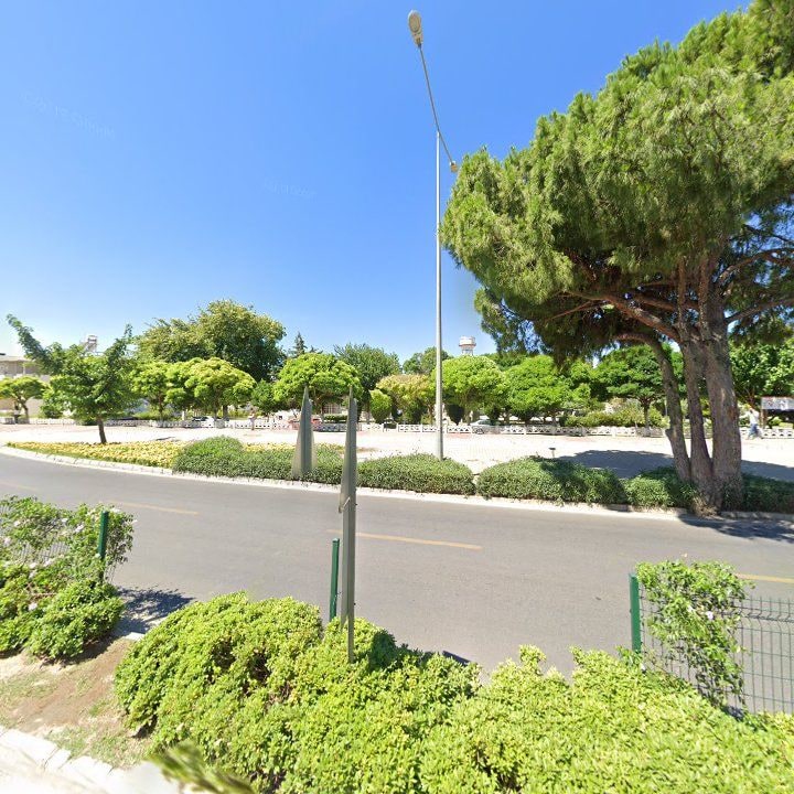 Fotoğraf 11