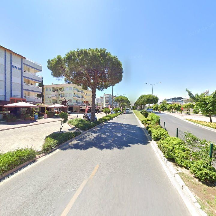 Fotoğraf 10