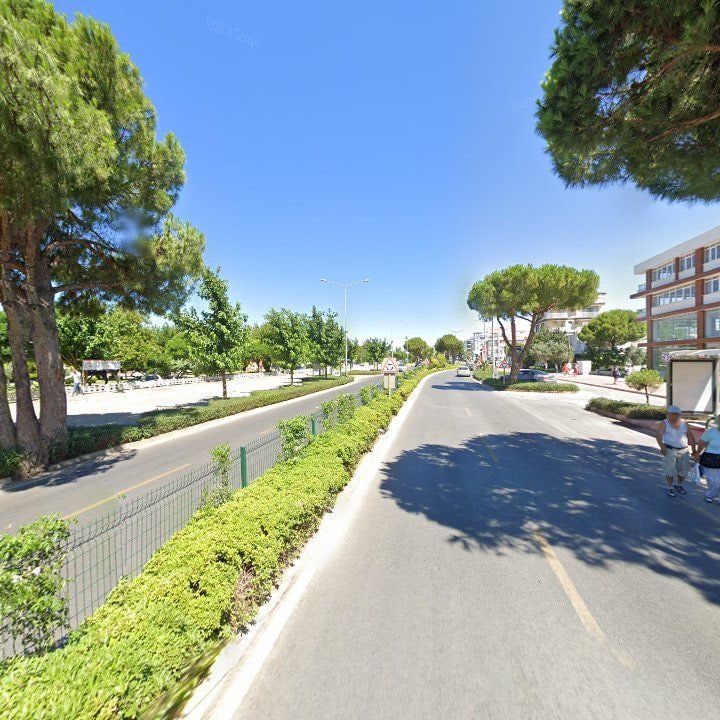 Fotoğraf 12
