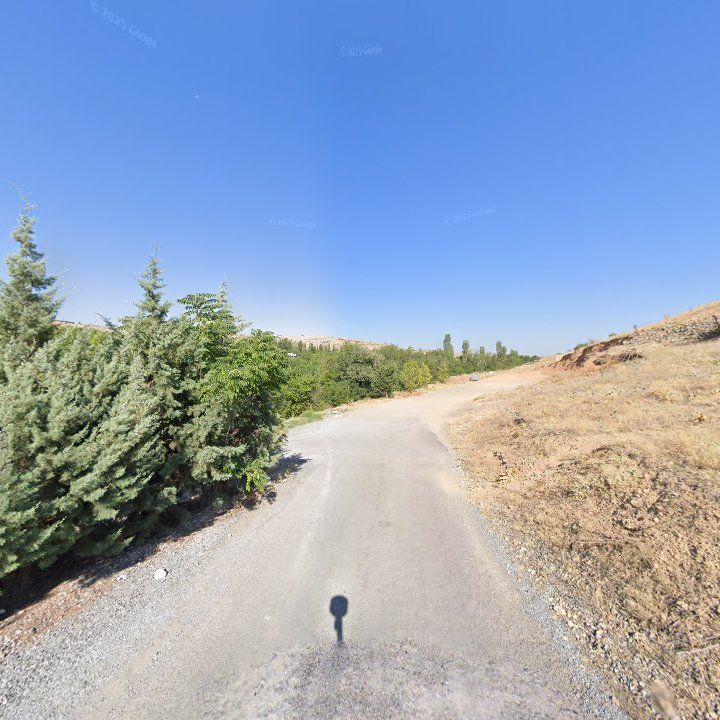Fotoğraf 7