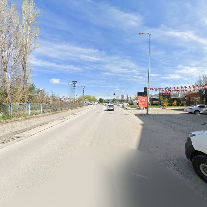 Fotoğraf 15