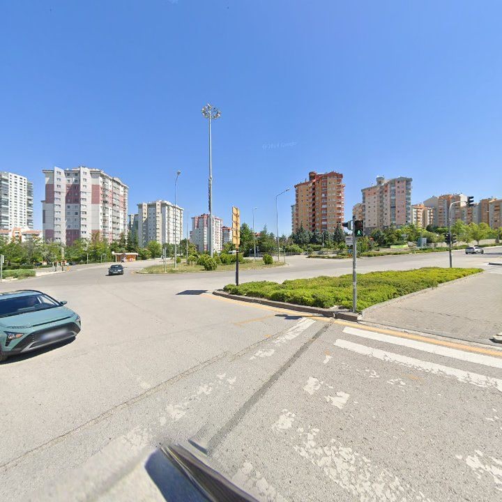Fotoğraf 10