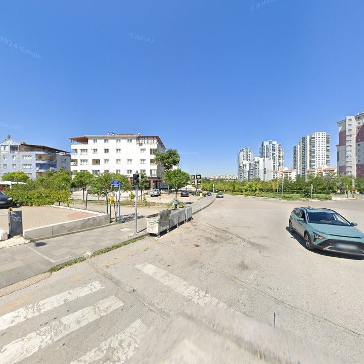 Fotoğraf 9