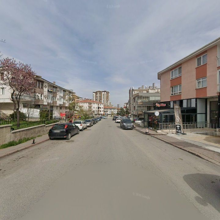 Fotoğraf 8