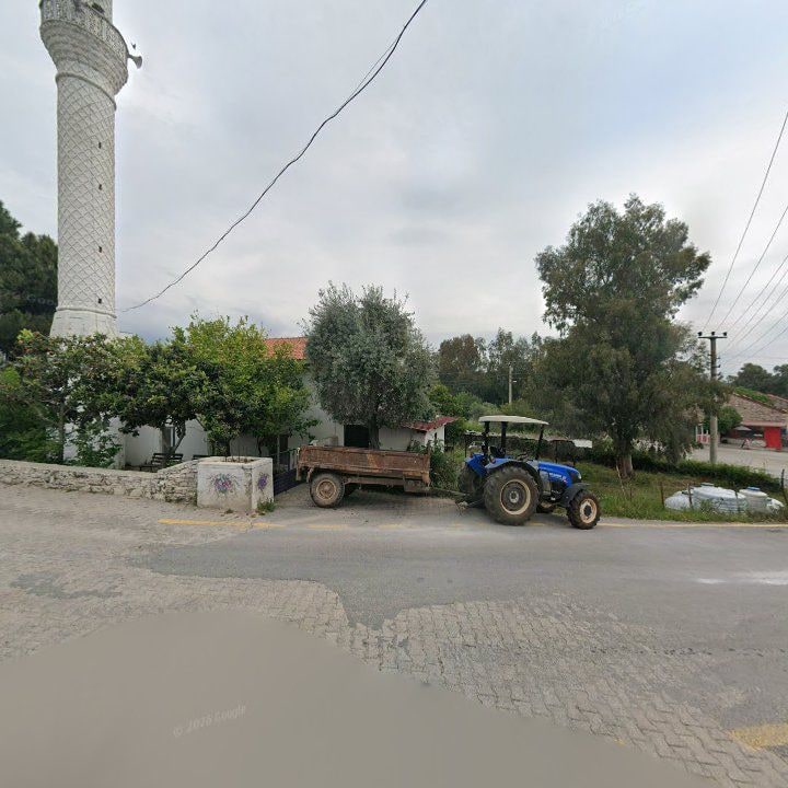 Fotoğraf 9