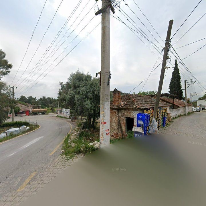 Fotoğraf 10