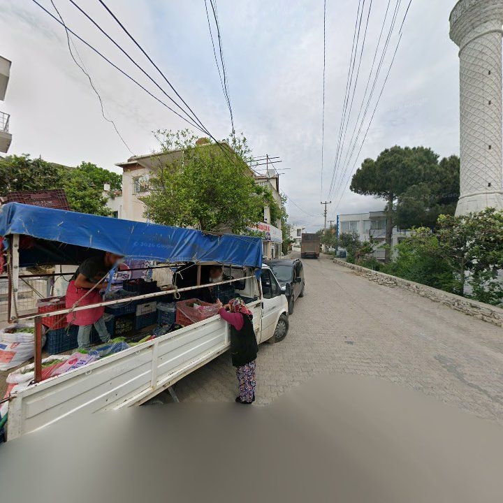 Fotoğraf 8
