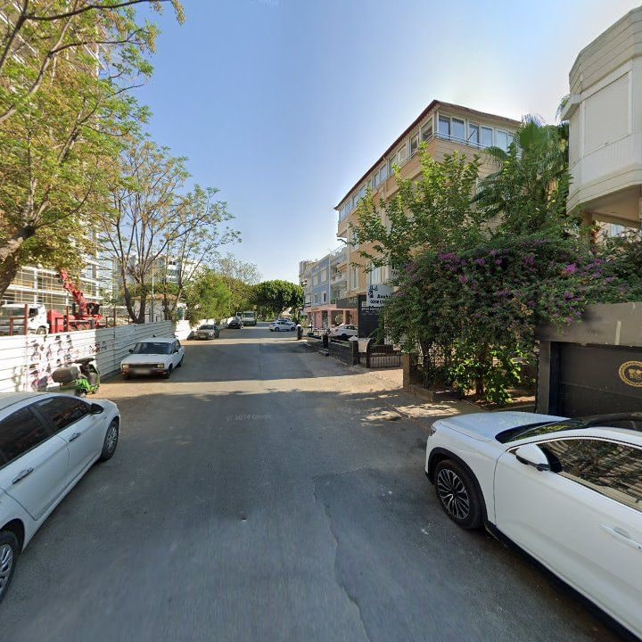 Fotoğraf 11
