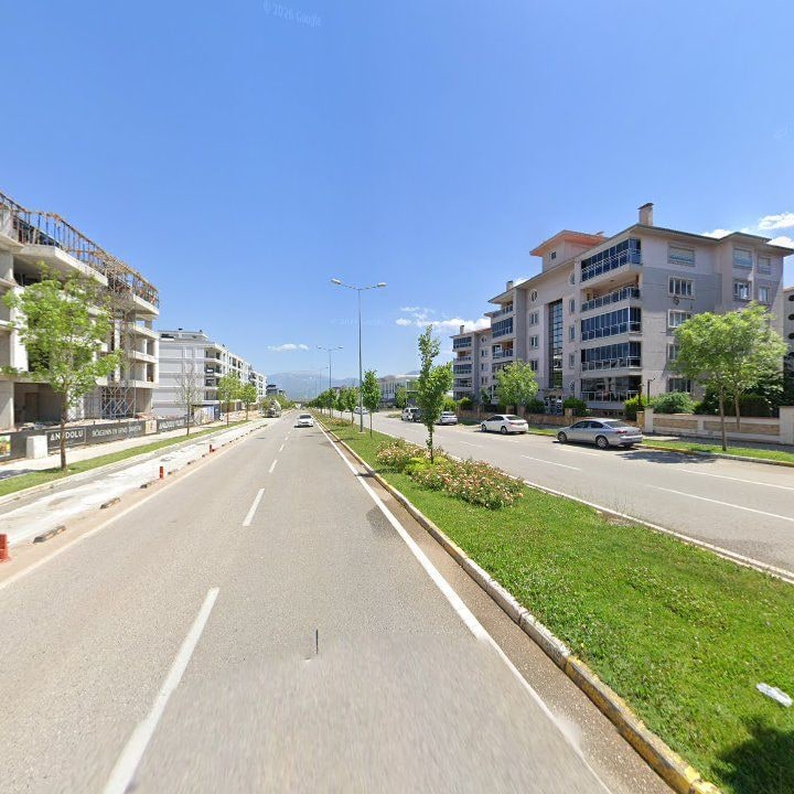 Fotoğraf 10