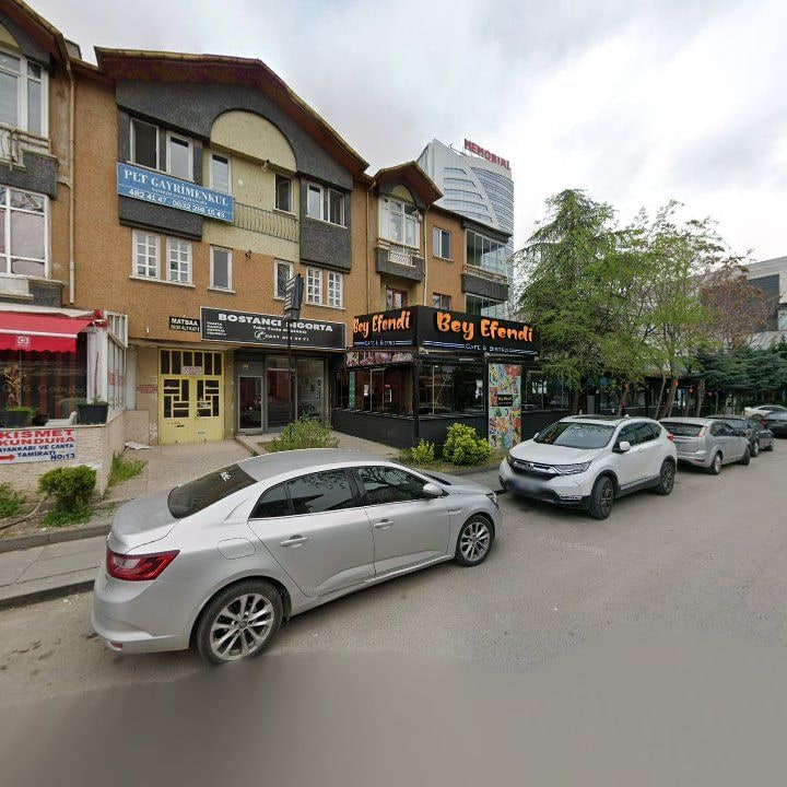 Fotoğraf 12