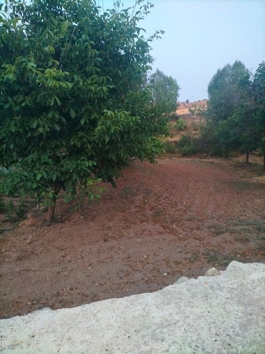 Dede Ocağı