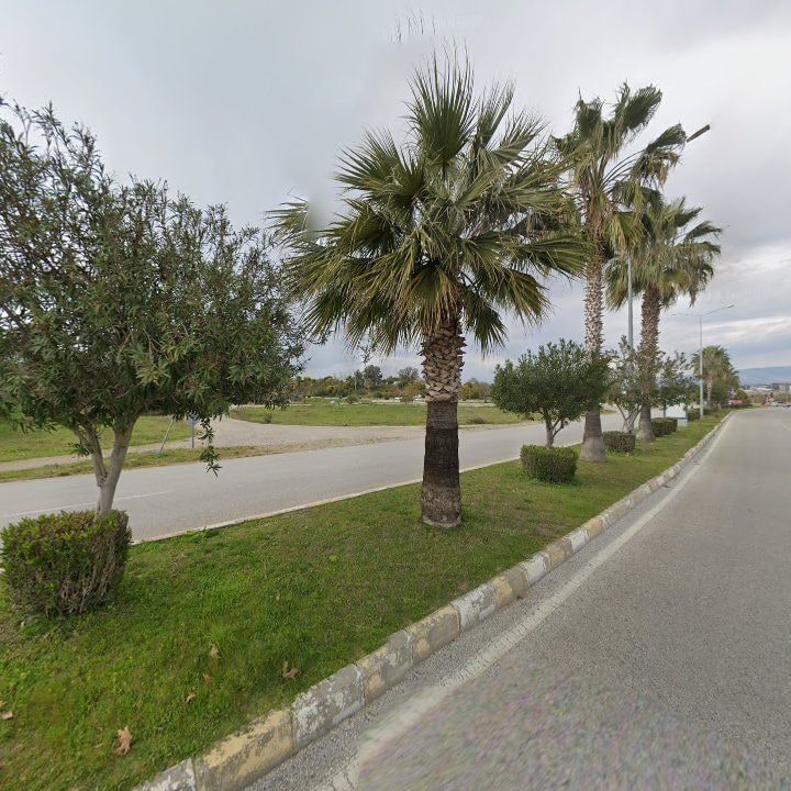 Fotoğraf 16
