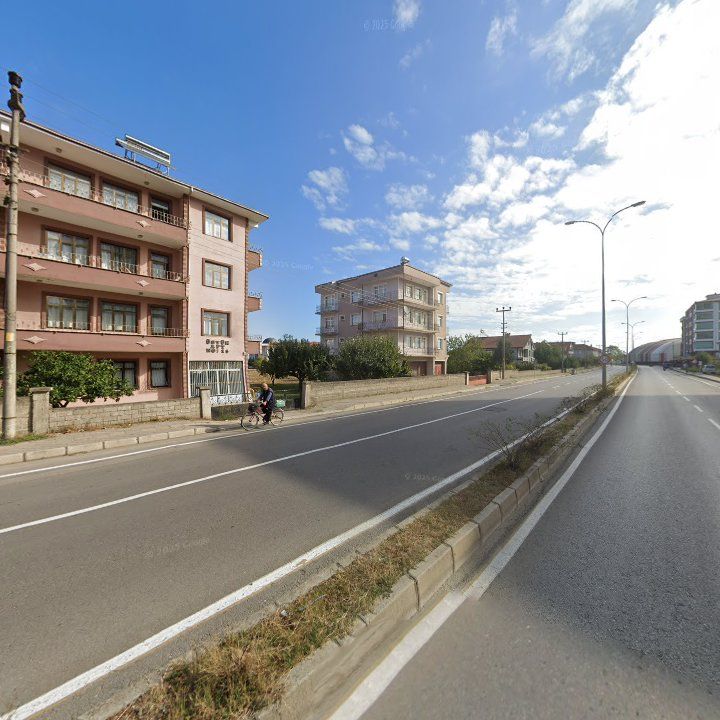 Fotoğraf 12