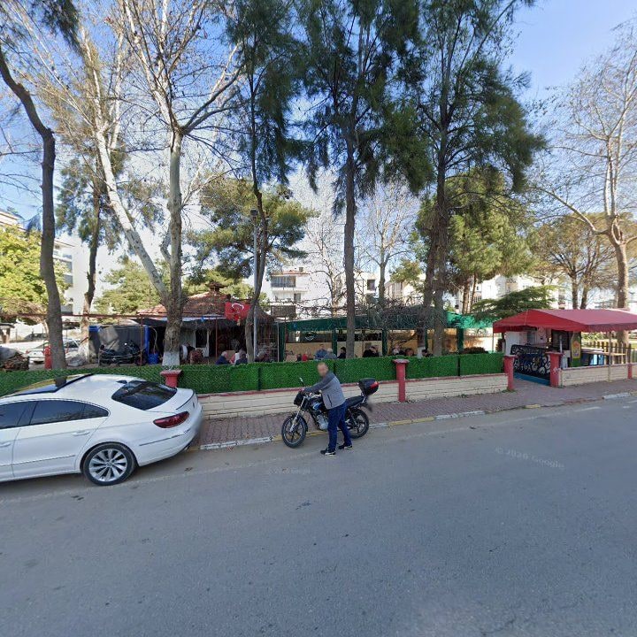 Dedikodu Cafe