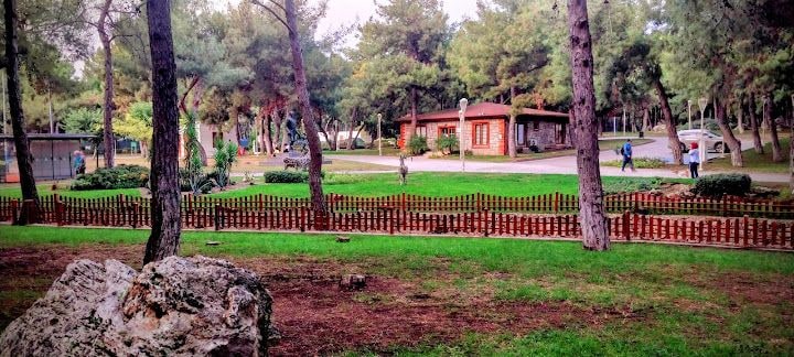 Fotoğraf 7