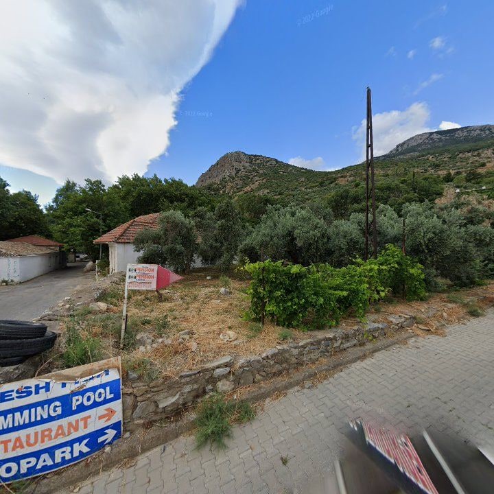 Fotoğraf 8