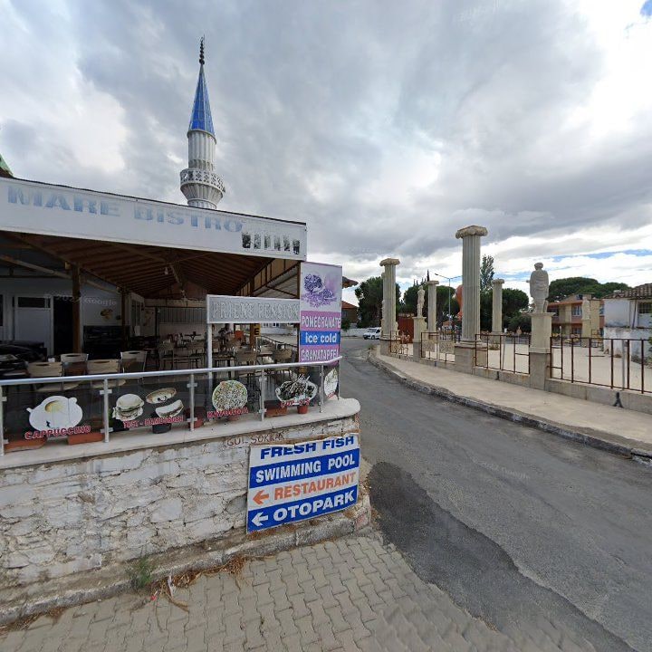 Fotoğraf 10